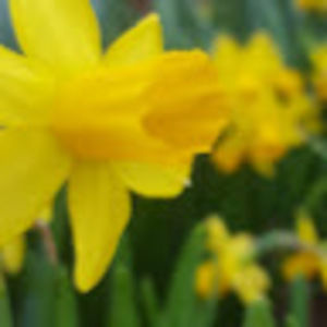 Meet your Posher, Jillian